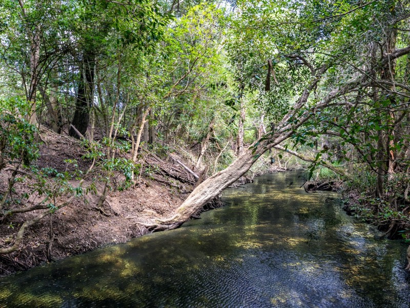 0 Wetherby Road Mount Molloy, Julatten QLD 4871