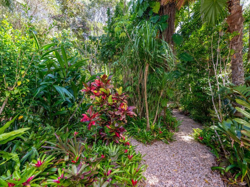 215 McDougall Road, Julatten QLD 4871