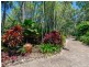 65 Ocean View Road, Port Douglas QLD 4877