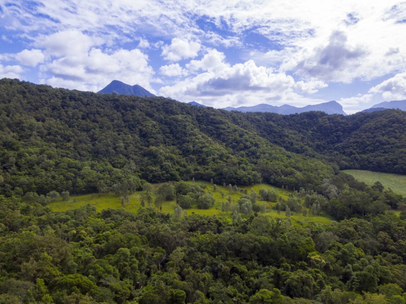 Lot 11 Sawmill Road, Mossman QLD 4873