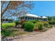 1253 Mossman Mount Molloy Road, Julatten QLD 4871