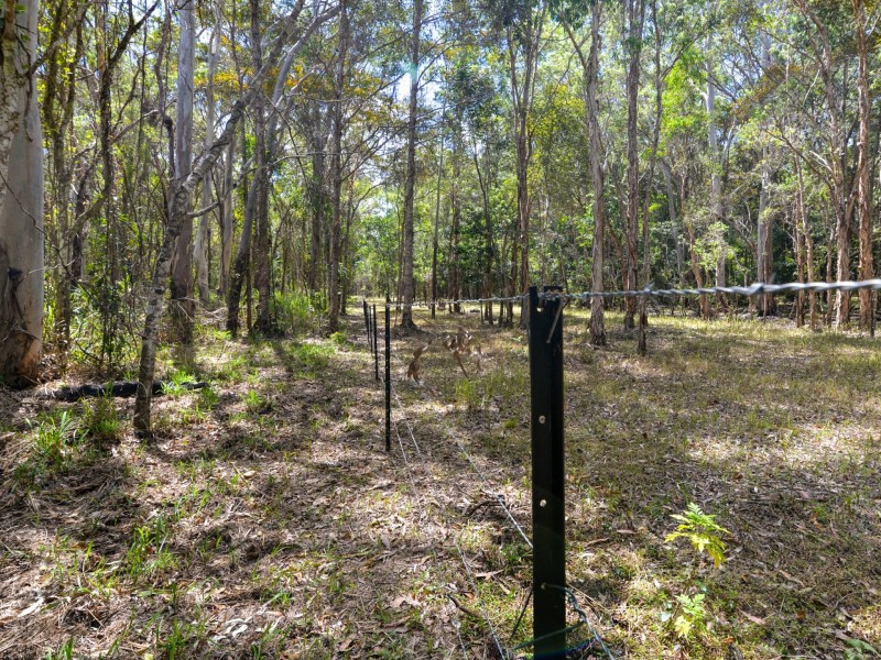 Lot 37 Wetherby Road, Mount Molloy QLD 4871