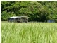 2125 Mossman Daintree Road, Wonga Beach QLD 4873