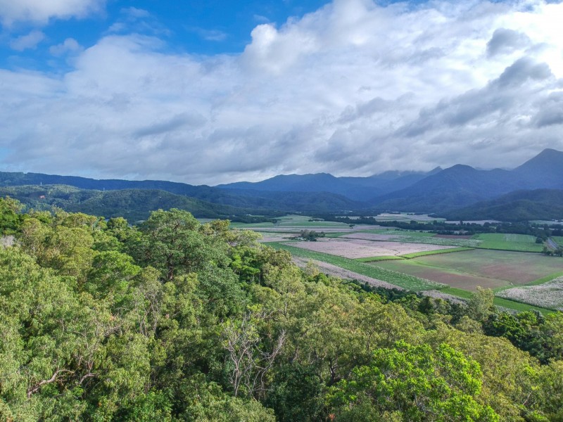 Lot 5 Francis Road Killaloe, Mossman QLD 4873