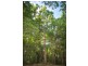 Lot 5 Francis Road Killaloe, Mossman QLD 4873