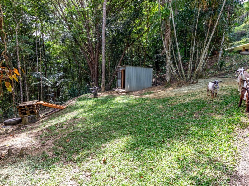 Lot 2/1651 Mossman Mt Molloy Road, Julatten QLD 4871