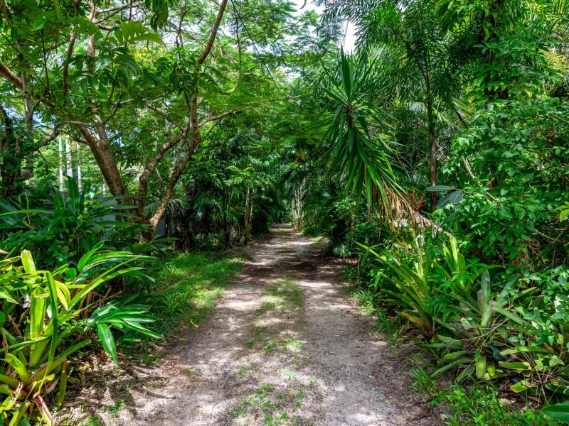 99-103 South Arm Drive, Wonga Beach QLD 4873