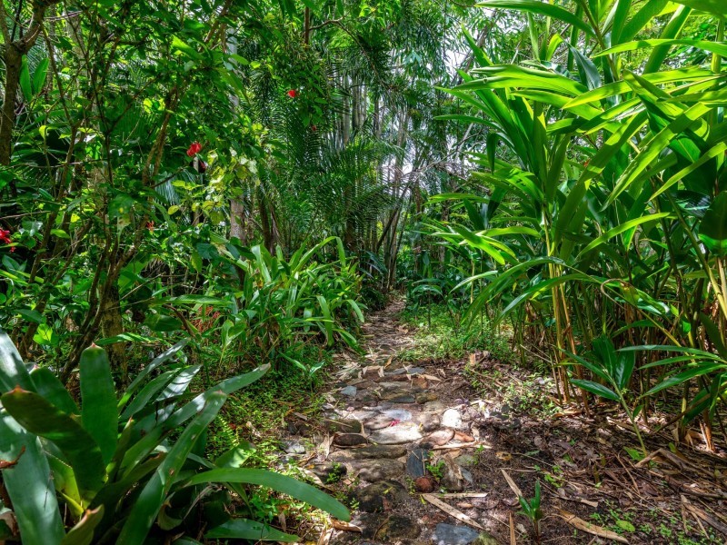 99-103 South Arm Drive, Wonga Beach QLD 4873