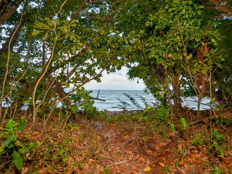 8 Barka Close, Wonga Beach QLD 4873