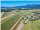 37 Cedars Street, Mossman QLD 4873