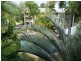 50/11 Port Douglas Road, Port Douglas QLD 4877