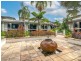 168 Sea Temple/22-36 Mitre Street, Port Douglas QLD 4877
