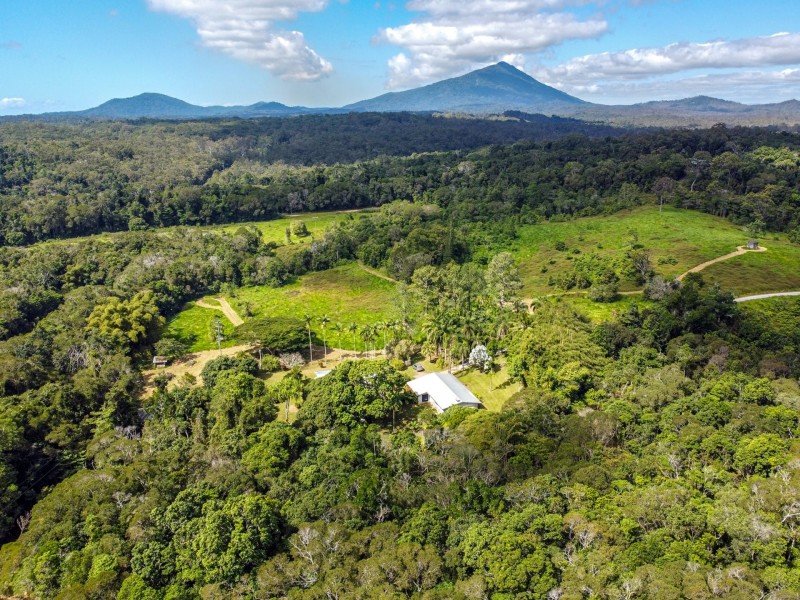 4414 Black Mountain Road, Julatten QLD 4871