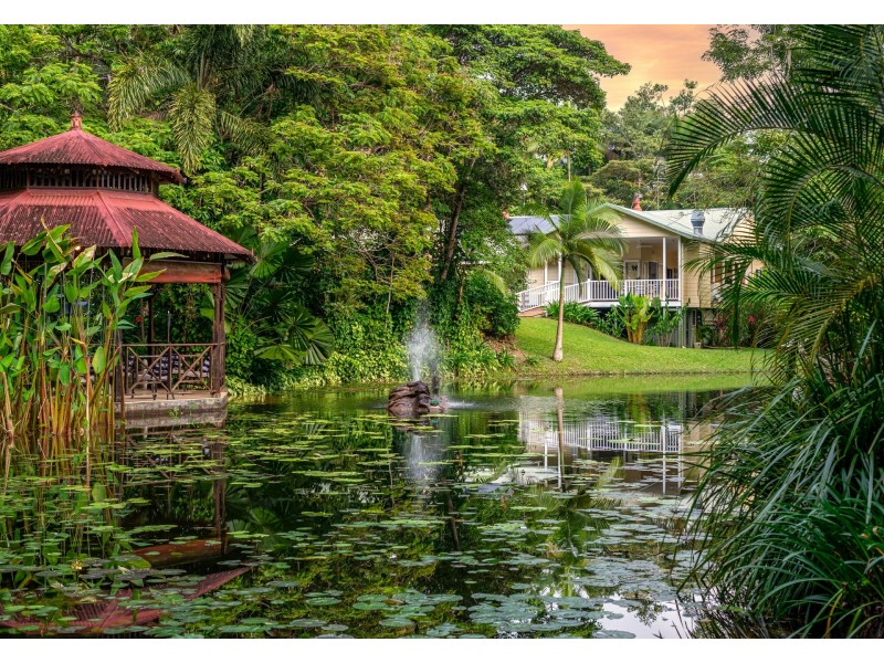 3 Trinity Close, Julatten QLD 4871