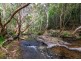 4261 Black Mountain Road, Julatten QLD 4871