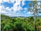 214 Mossman Mount Molloy Road, Shannonvale QLD 4873