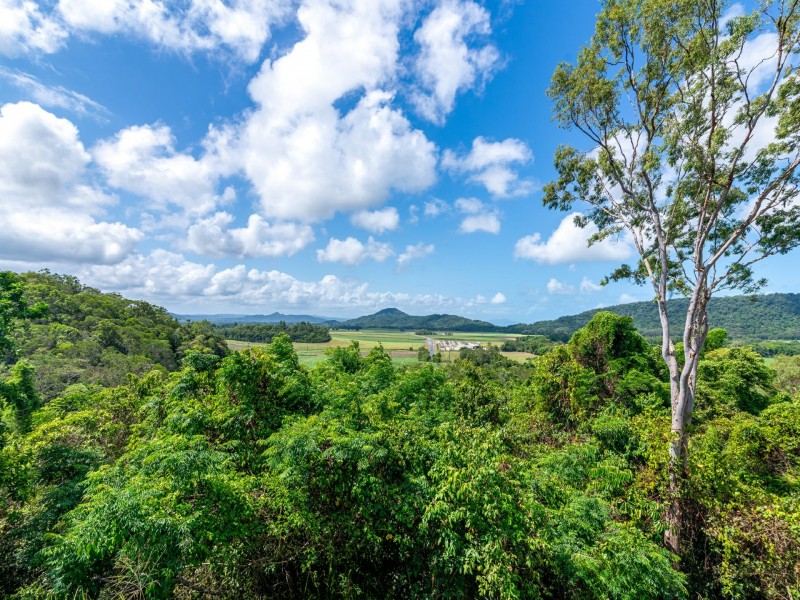 214 Mossman Mount Molloy Road, Shannonvale QLD 4873