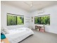 214 Mossman Mount Molloy Road, Shannonvale QLD 4873