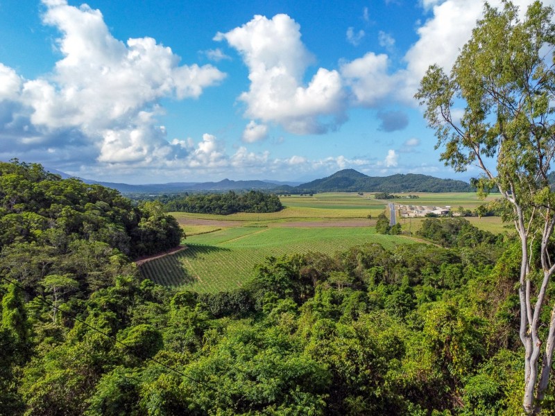 214 Mossman Mount Molloy Road, Shannonvale QLD 4873