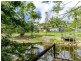 194 Euluma Creek Road, Julatten QLD 4871