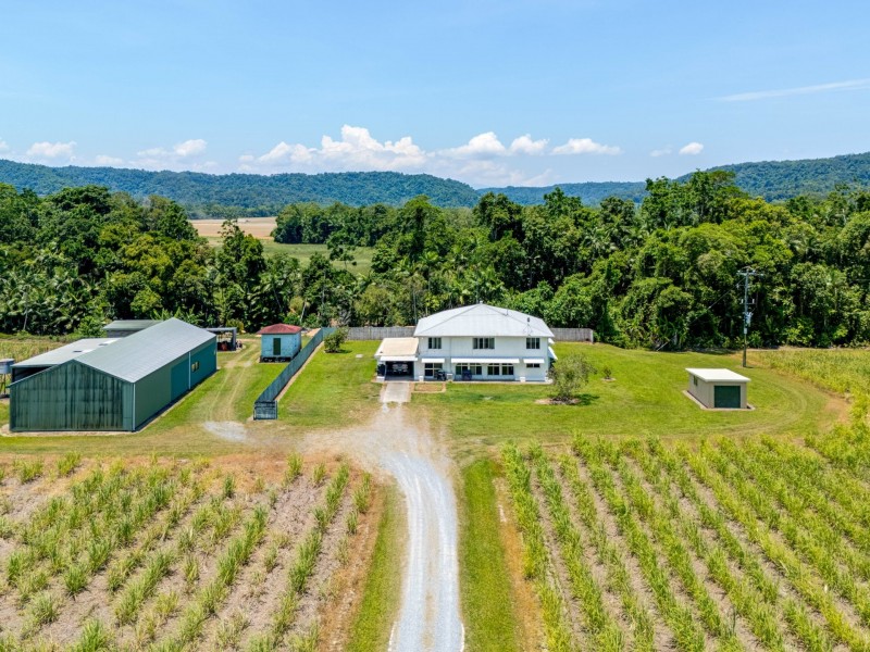 23 D’Addona Road, Miallo QLD 4873