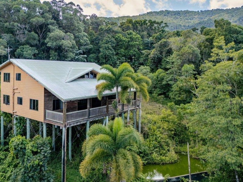 195 Cape Kimberley Road, Daintree QLD 4873