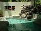 55 Murphy Street, Port Douglas QLD 4877