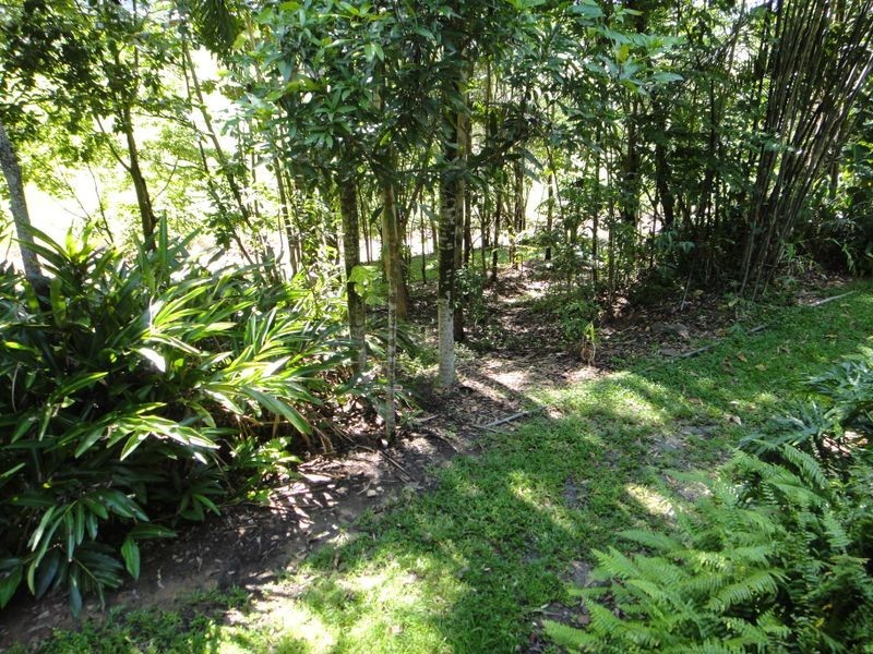9 Whitely Road, Miallo Via Syndi, Miallo QLD 4873