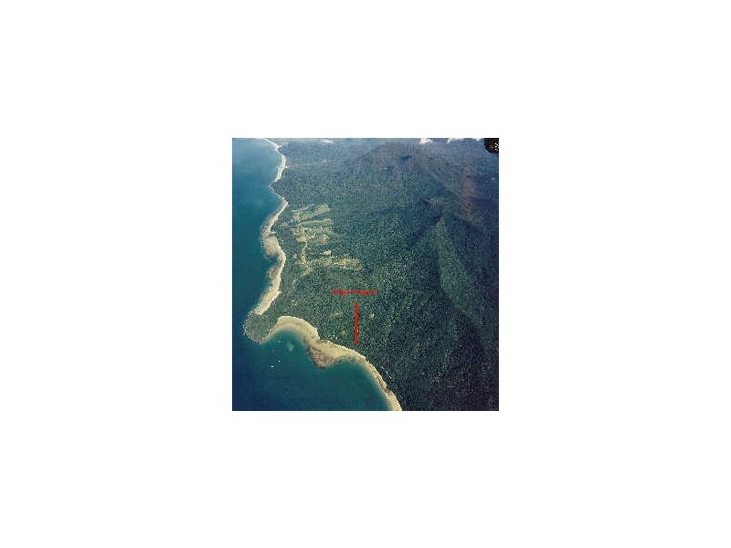 Cape Tribulation QLD 4873