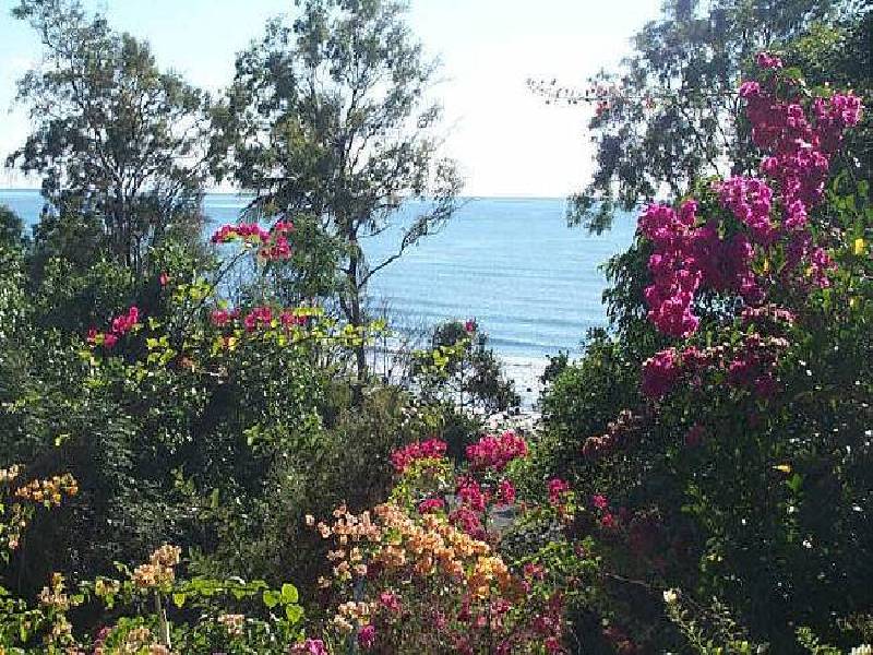 Cape Tribulation QLD 4873