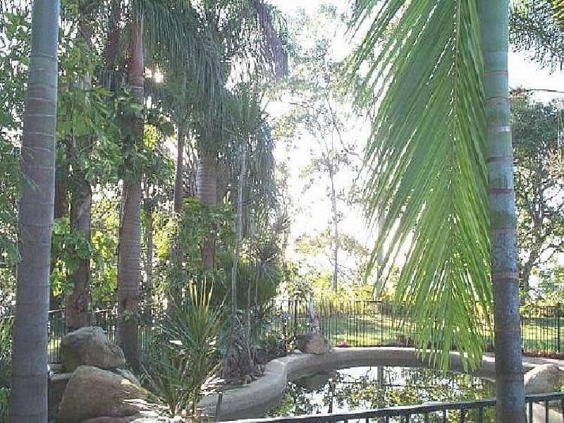 Cape Tribulation QLD 4873