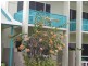 41 Ti Tree Resort/1-5 Barrier Street, Port Douglas QLD 4877