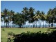 Cape Tribulation QLD 4873