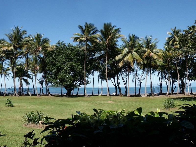 Cape Tribulation QLD 4873