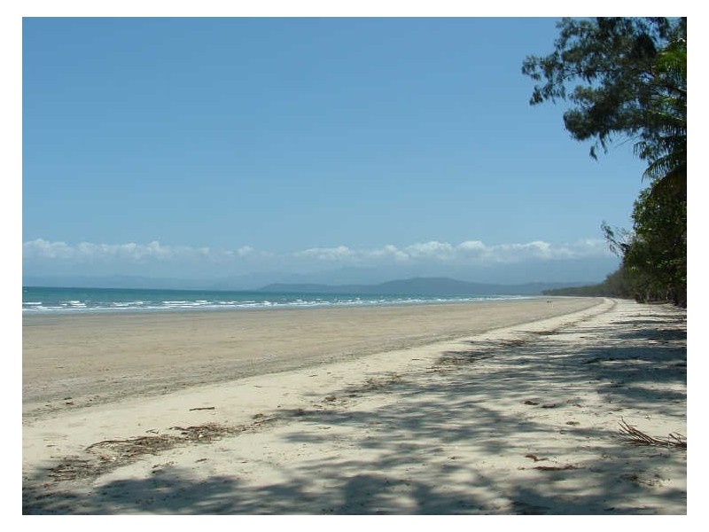 Cape Tribulation QLD 4873