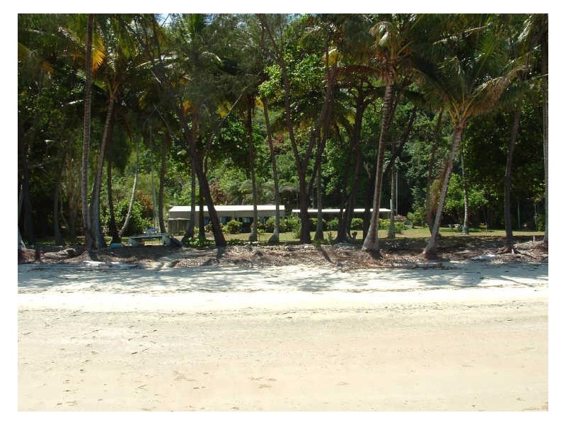 Cape Tribulation QLD 4873