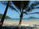 Cape Tribulation QLD 4873