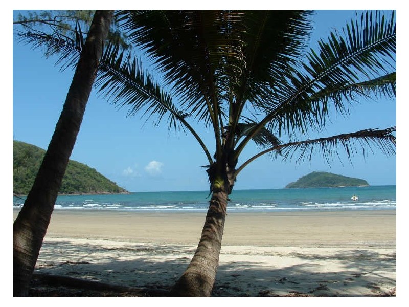 Cape Tribulation QLD 4873
