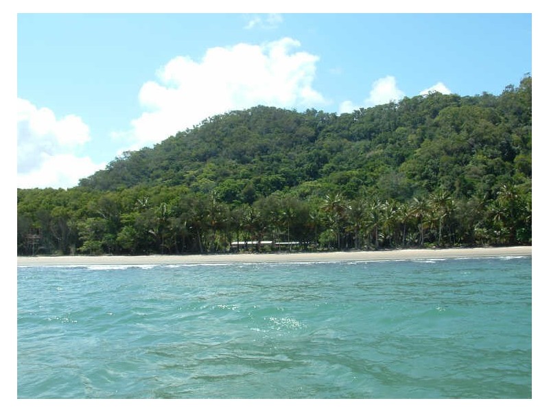 Cape Tribulation QLD 4873