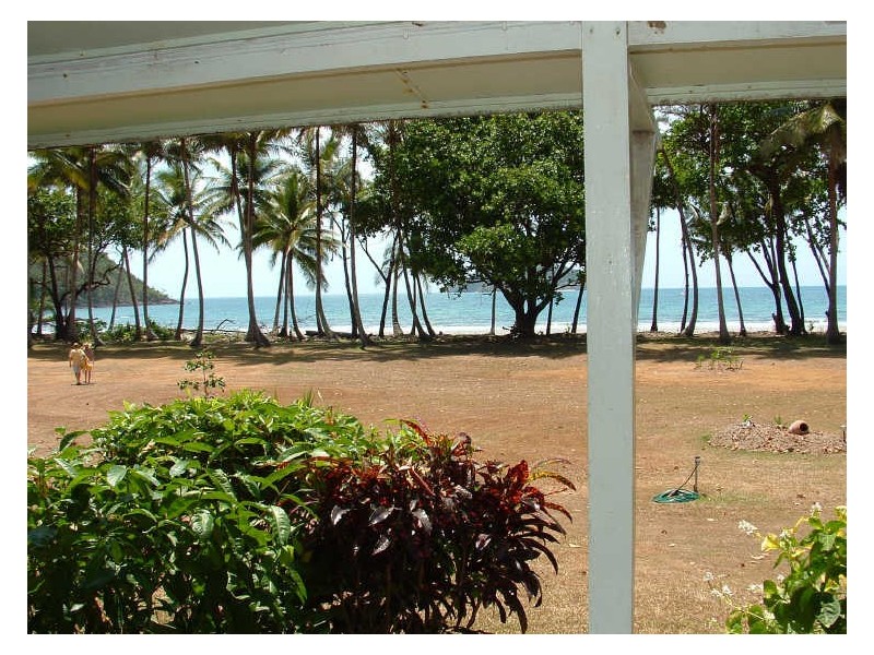 Cape Tribulation QLD 4873