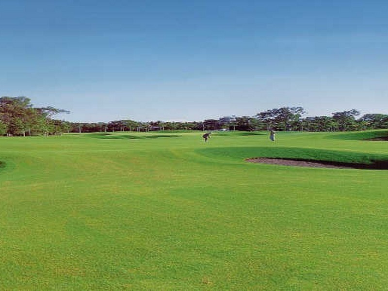 Port Douglas QLD 4877