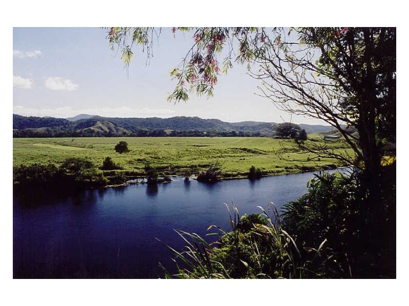 Daintree QLD 4873