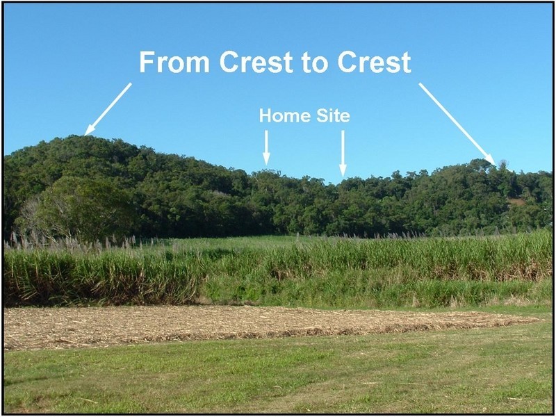 Cape Tribulation QLD 4873