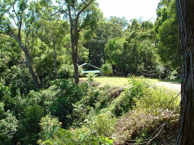 Cape Tribulation QLD 4873