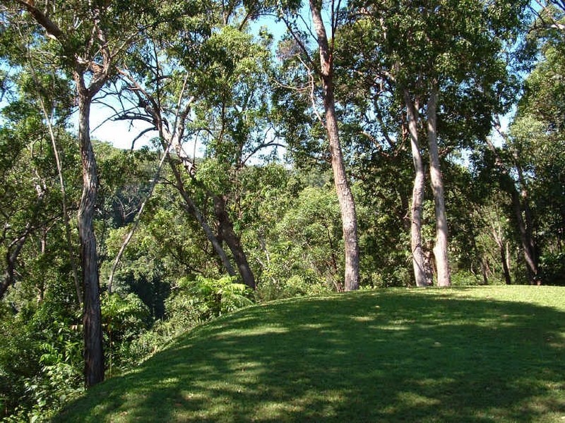 Cape Tribulation QLD 4873