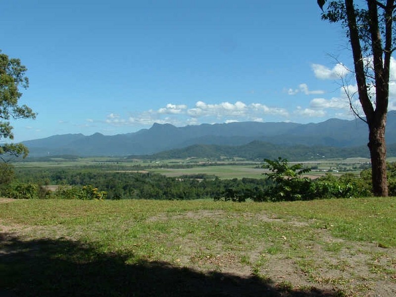Cape Tribulation QLD 4873