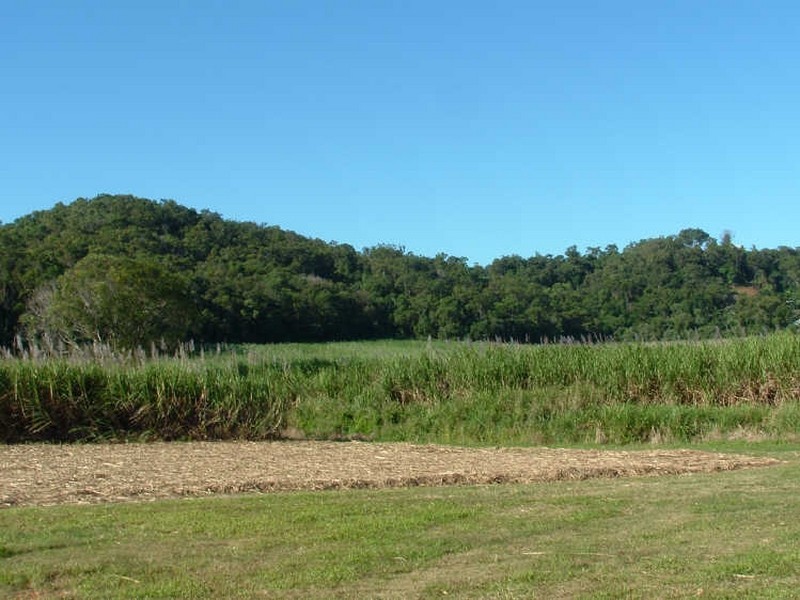 Cape Tribulation QLD 4873