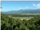 Cape Tribulation QLD 4873
