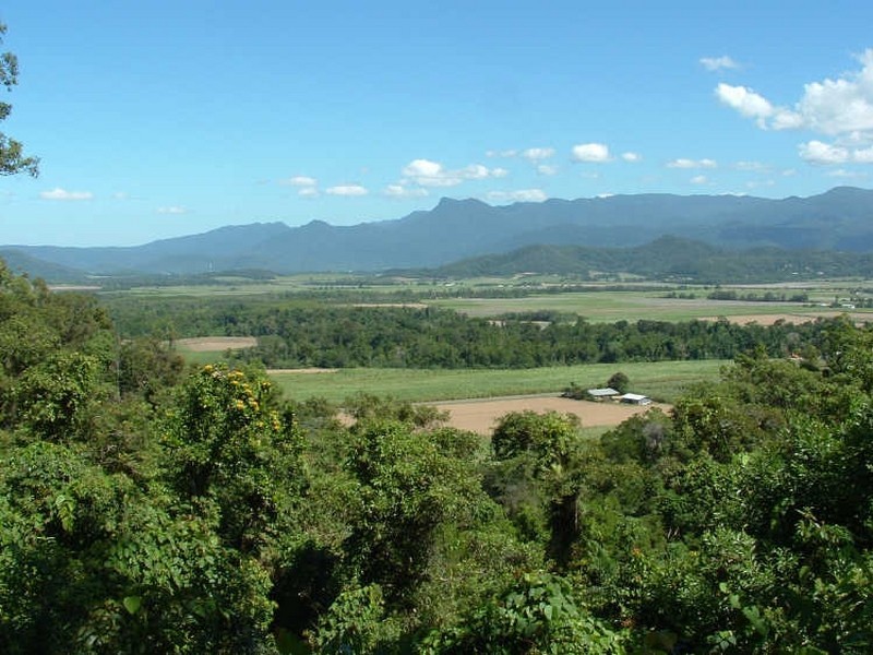 Cape Tribulation QLD 4873