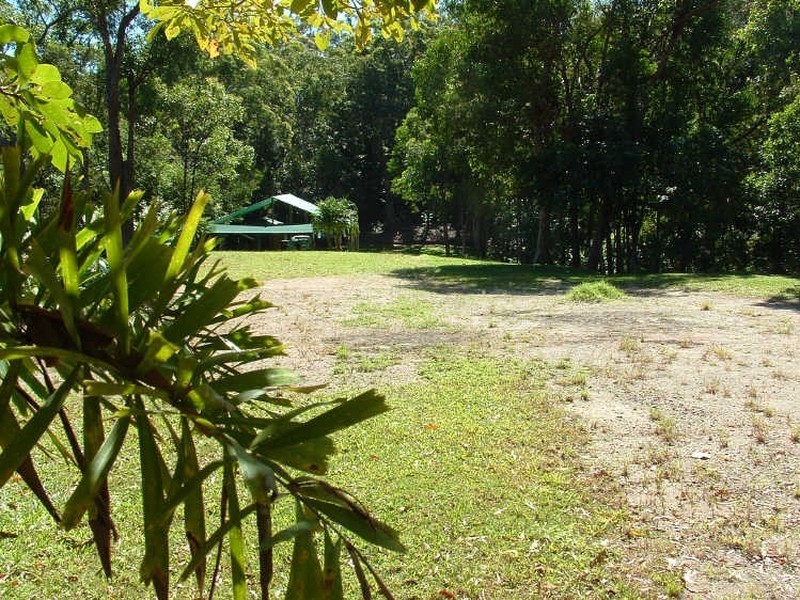 Cape Tribulation QLD 4873